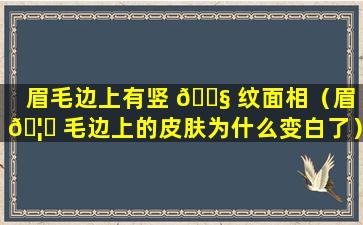 眉毛边上有竖 🐧 纹面相（眉 🦍 毛边上的皮肤为什么变白了）